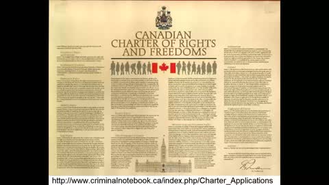 This video explains how to start a Charter application if your rights have been violated.