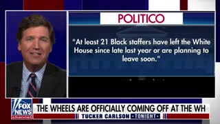 Tucker Carlson on the chaos at the White House