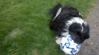 Louey playing soccer his way