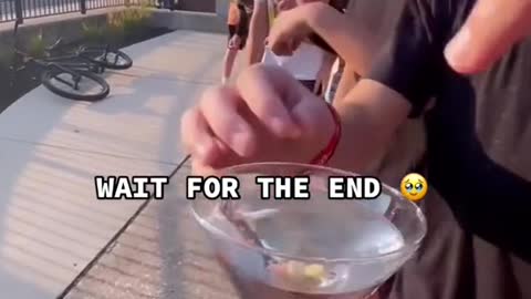WAIT FOR THE END