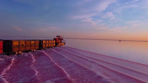 Train Travels Through Picturesque Pink Water