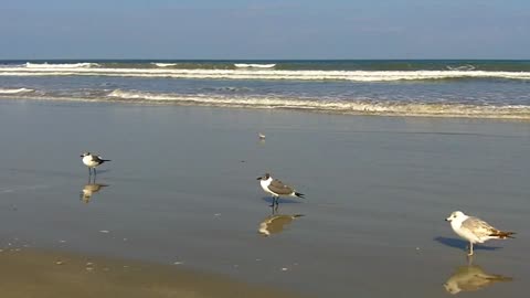 Sunshine on the beach .... breathtaking nature