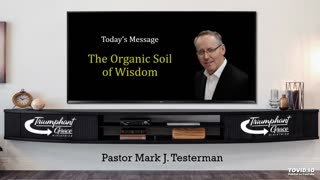 The Organic Soil of Wisdom