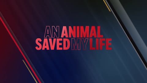 animal save my life