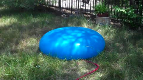 playing with a giant water balloon....