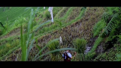 4K Nature Cinematography | Cinematic Background