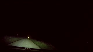 Close Call as Deer Dash Across Road