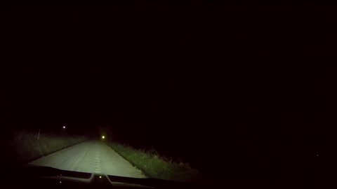 Close Call as Deer Dash Across Road