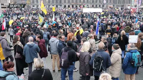 Netherlands: Thousands rally in Amsterdam against COVID restrix - 20.11.2021