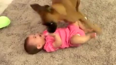 Laugh with the baby and the dog