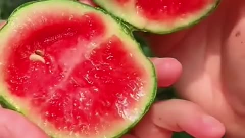 Amazing watermelon #shorts #viralvideo #viralvideos #trendong #trend