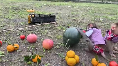 Smart Bim Bim harvests fruit for BBQ with baby monkey Obi