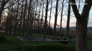 Guy front flips on trampoline falls off
