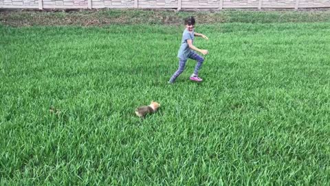 New puppy runs free for first day in new home