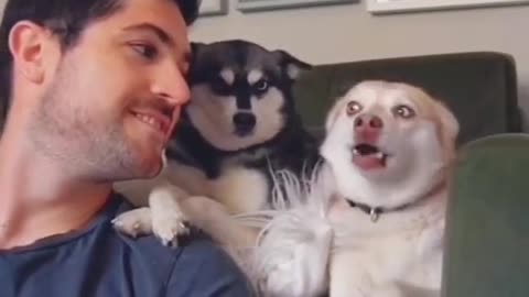 Big reaction after barking at your dog😂😂😂