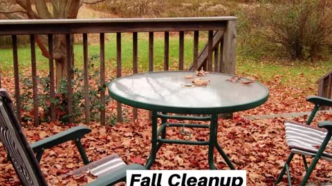 Fall Cleanup Clear Spring Maryland Landscape Company