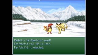 Snow Fieldwork - Pokémon Hunter 4: The Hidden Truth Pt.2