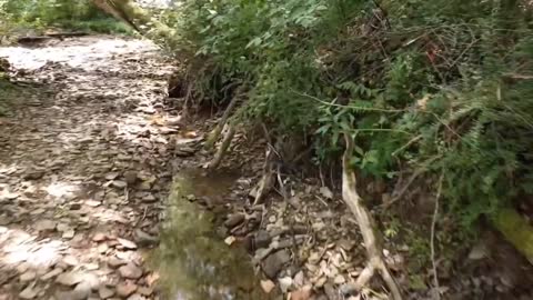 Floating up the creek