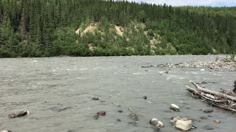 Alaska River June 2019