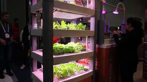 Growing vegetables via your smartphone
