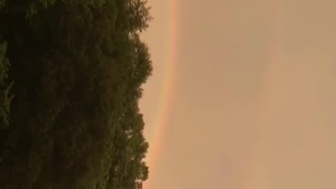 Pink rainbow