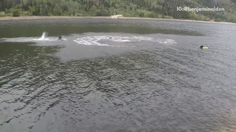 Guy four back flips off rope swing bellyflop