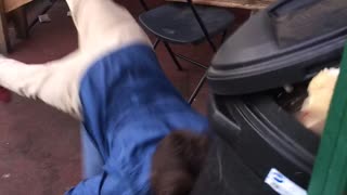 Guy moves chair head butts black trashcan