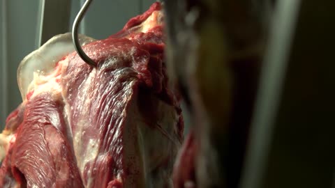 Close up view of raw meat hanging in a refrigerator