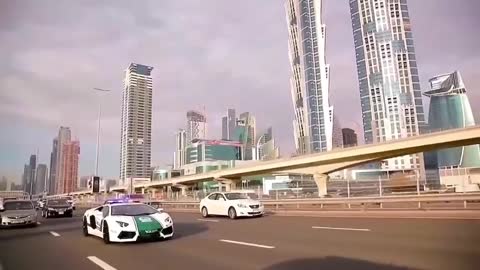 How can I go to Dubai as a police officer I want to go
