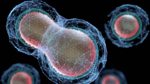 Scientists Solve Century-Old Cell Division Mystery