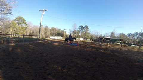 Part Time Cowboy - Harley and the tarp under saddle...