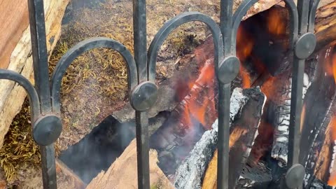 Roasting a Huge Bull on a Steel Spit! The Best Meat I've Tasted