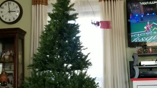 Best Christmas Tree Topper EVER!