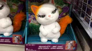 Fabulous Kitty Toy