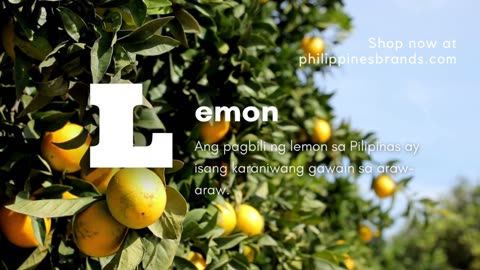 Ang pagbili ng lemon sa Pilipinas