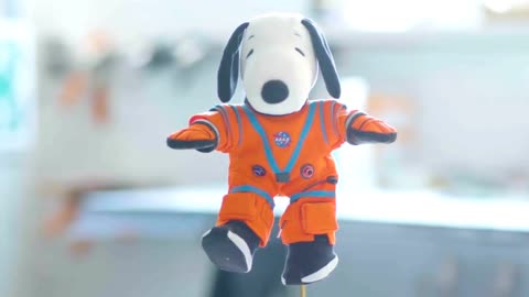 Nasa want to send snoppy to moon mission for new project