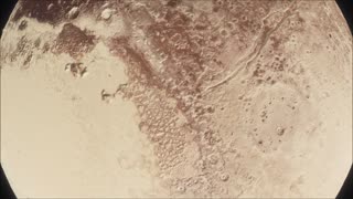 Pluto Up Close