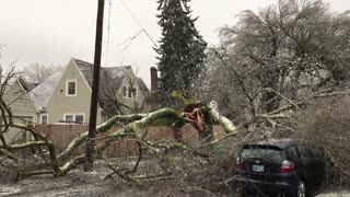 Storm Causes Trees to Fall on Home in Portland