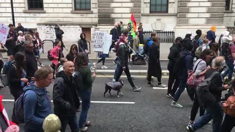 London 15th of May protest in 15 second