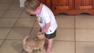 Puppy Joins In On Toddler's Dance Routine