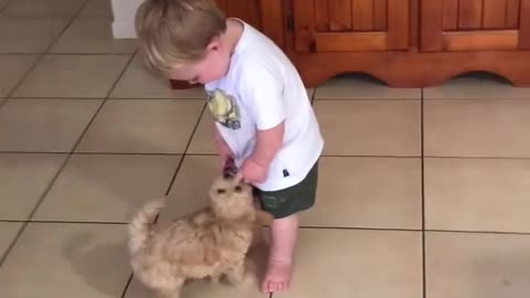 Puppy Joins In On Toddler's Dance Routine