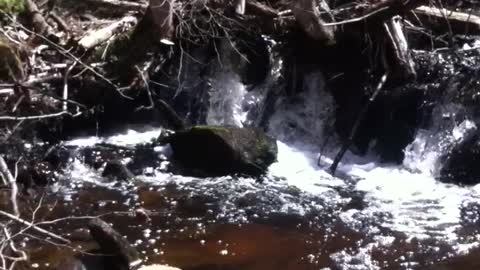 Canadian Spring melt Waterfall in the bush