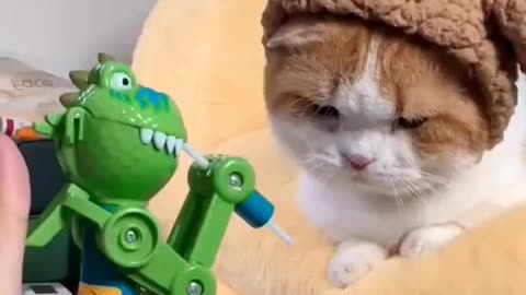 cat comedy video😂 #short's video #youtube short'a video #viral #tranding