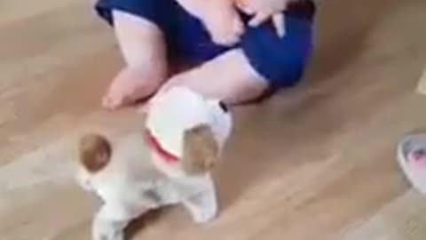 Bebê rindo com cãozinho de brinquedo