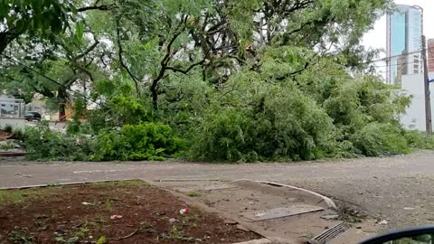 Estragos em Maringá após tempestade na madrugada de 23/abr/2022