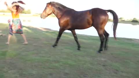 Girl training Village Horse, Horse Care Basic | Animal sworld