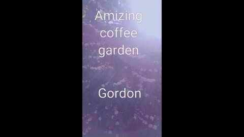 Amizing coffee gardon