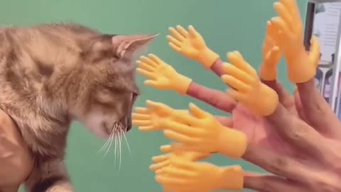 So many Hands To help them