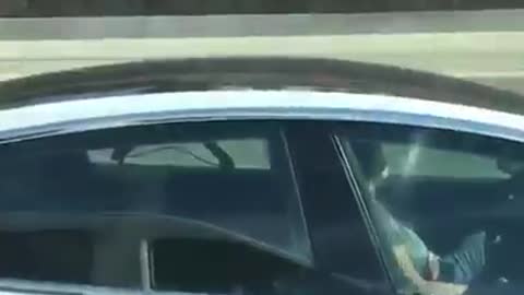 Driver Sleeping on Road while Driving Tesla
