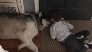 Toddler says sweet goodbye for the day to his dog
